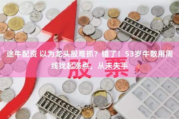 途牛配资 以为龙头股难抓？错了！53岁牛散用周线找起涨点，从未失手