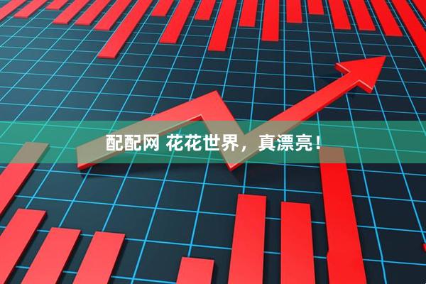 配配网 花花世界，真漂亮！