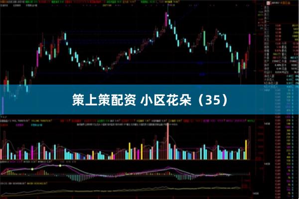 策上策配资 小区花朵（35）